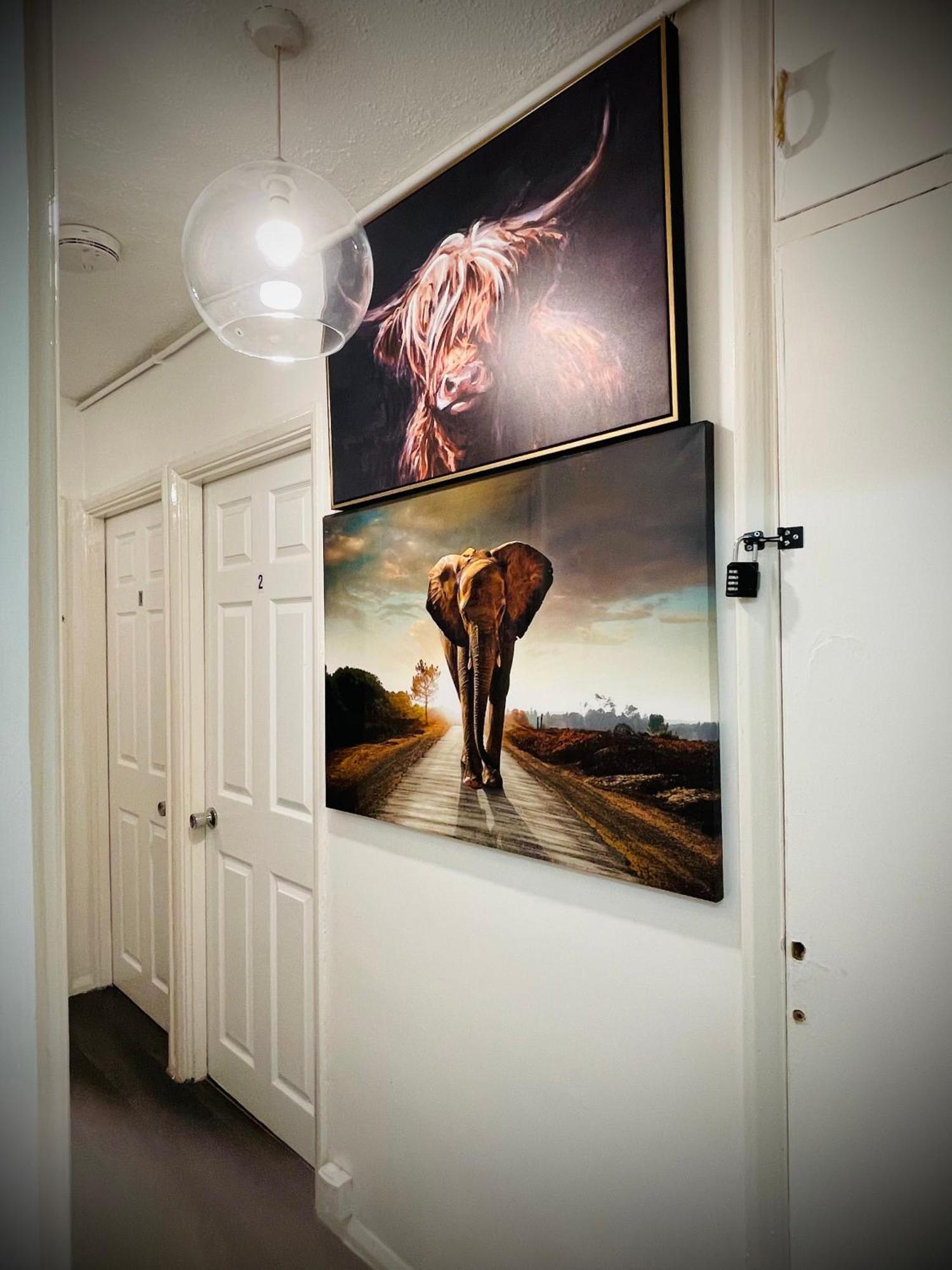 شقة R1 Superking Sized Bed & 65" Tv On The Wall In Clapham لندن المظهر الخارجي الصورة